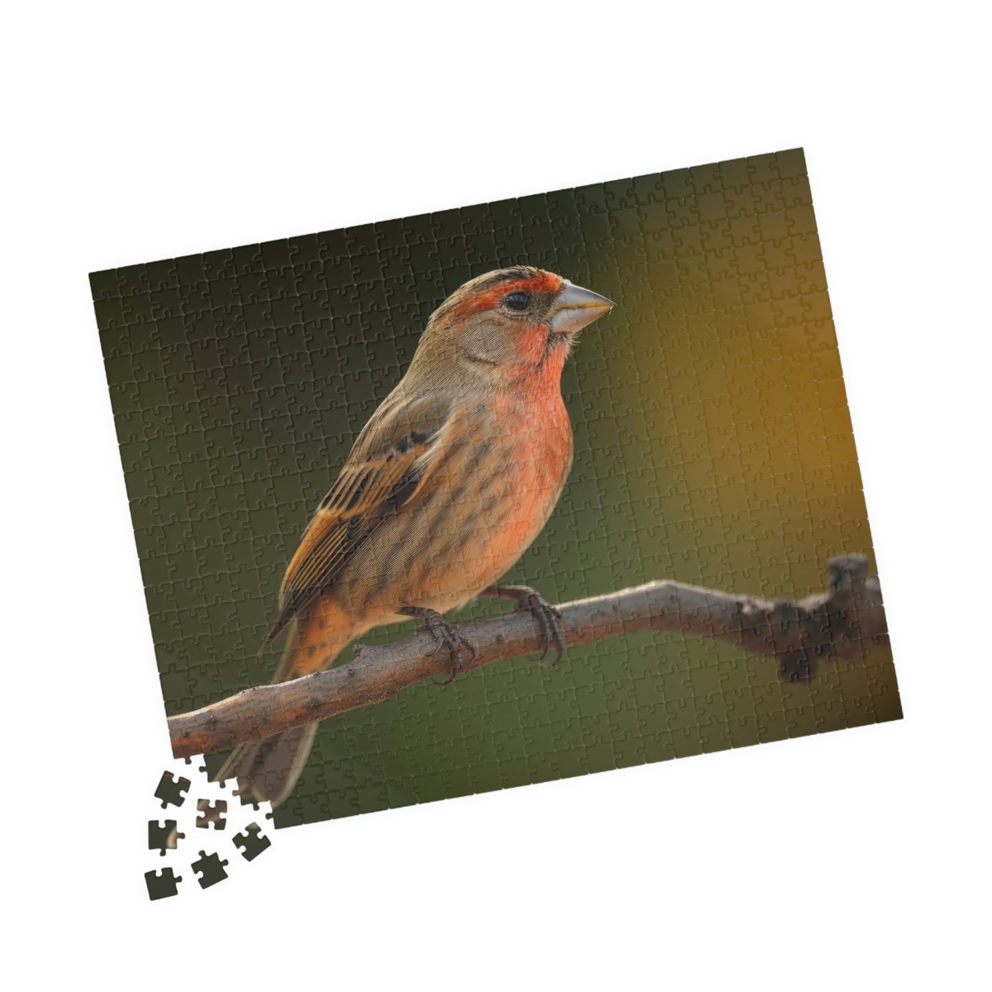 Finch Puzzle (500, 1014-piece)