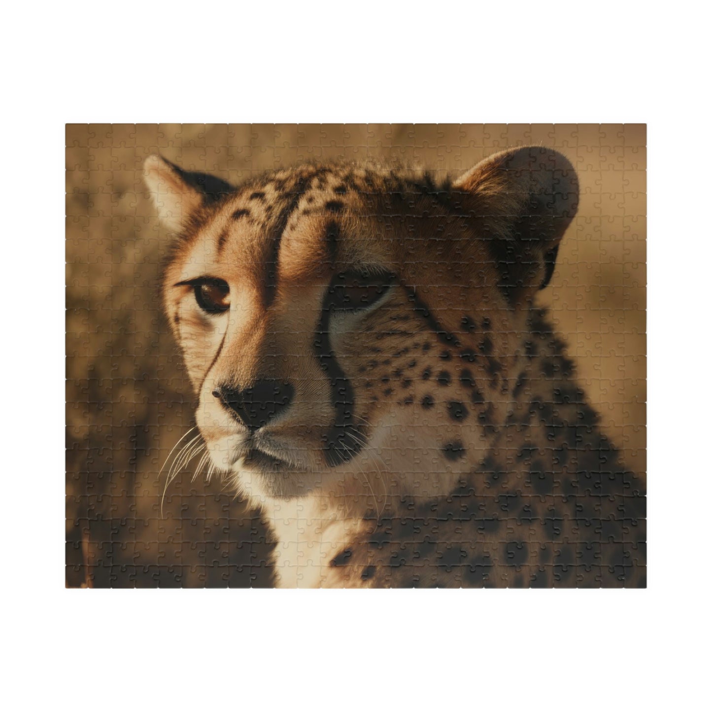 jigsaw puzzle