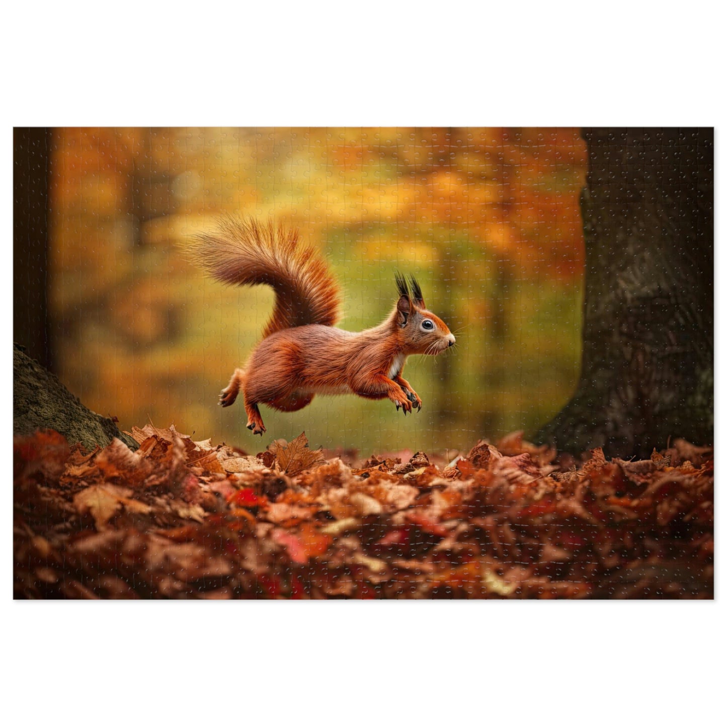 Squirrel's Forest Frolic 3 (500, 1000 pc)