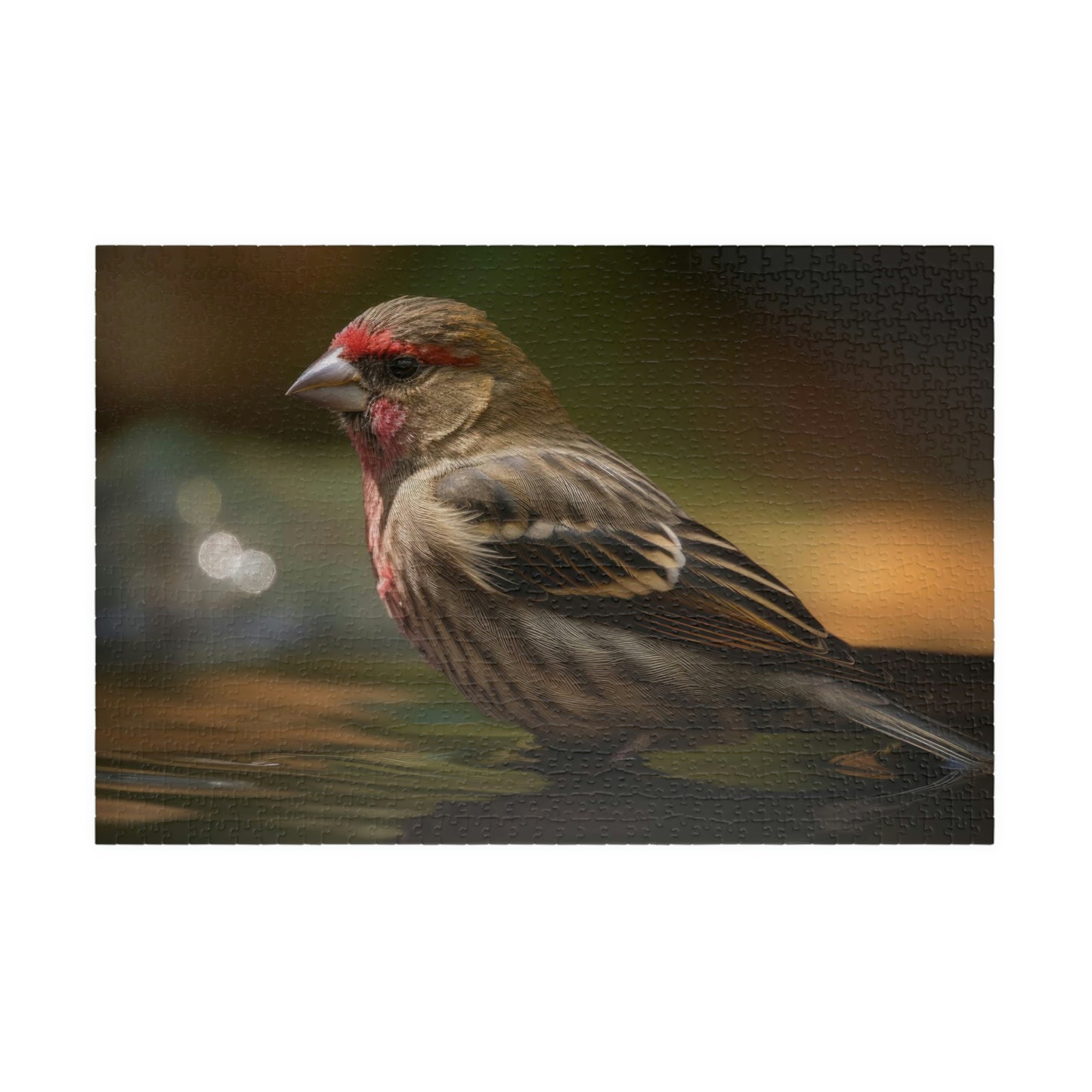 Finch Puzzle (500, 1014-piece)