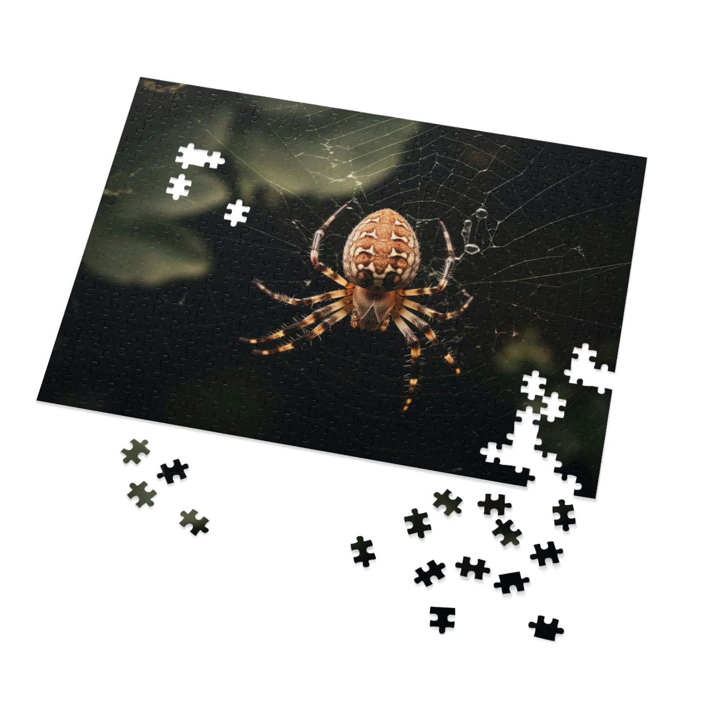 Spider in a Web 3 Puzzle  (500, 1000 pc)