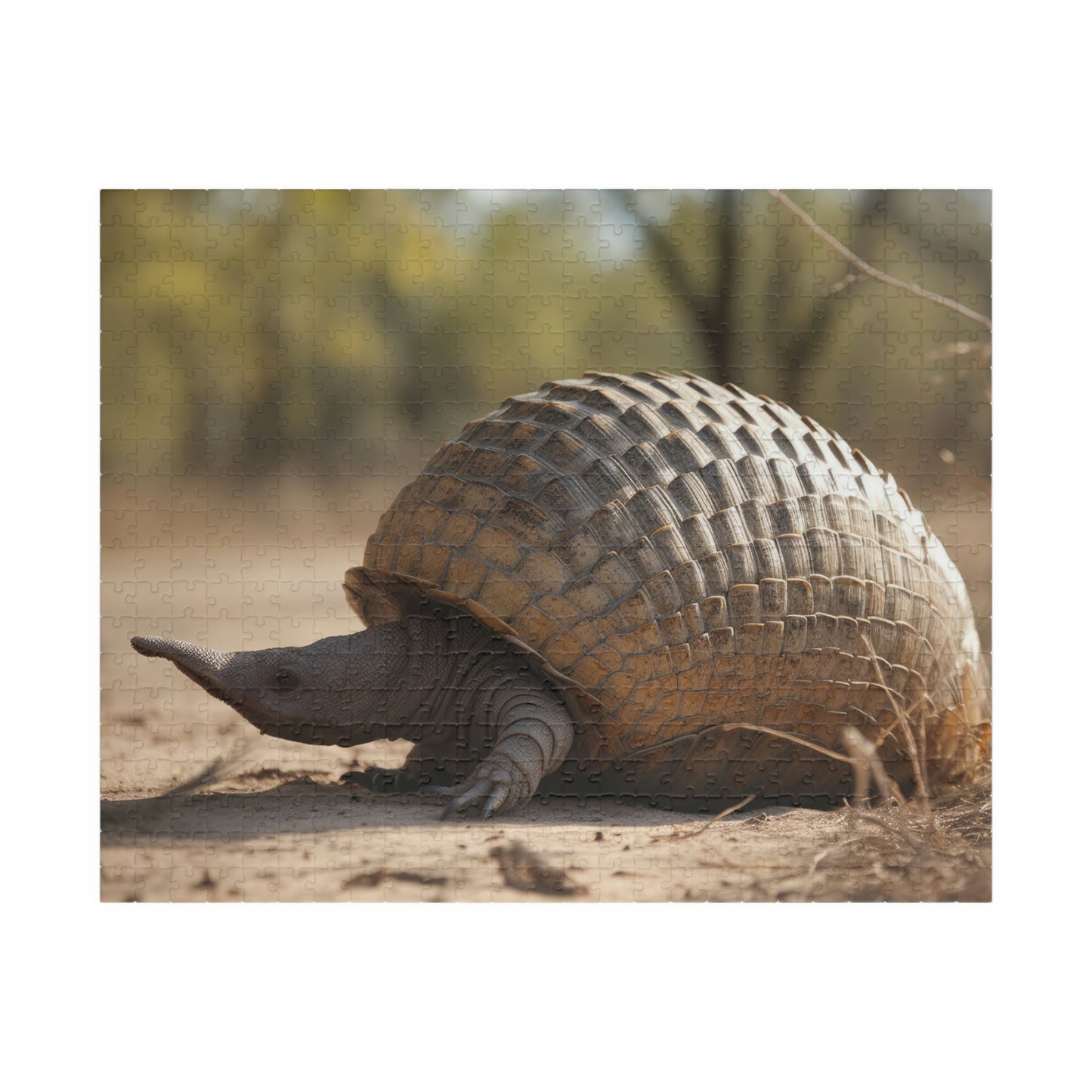 Armadillo puzzle