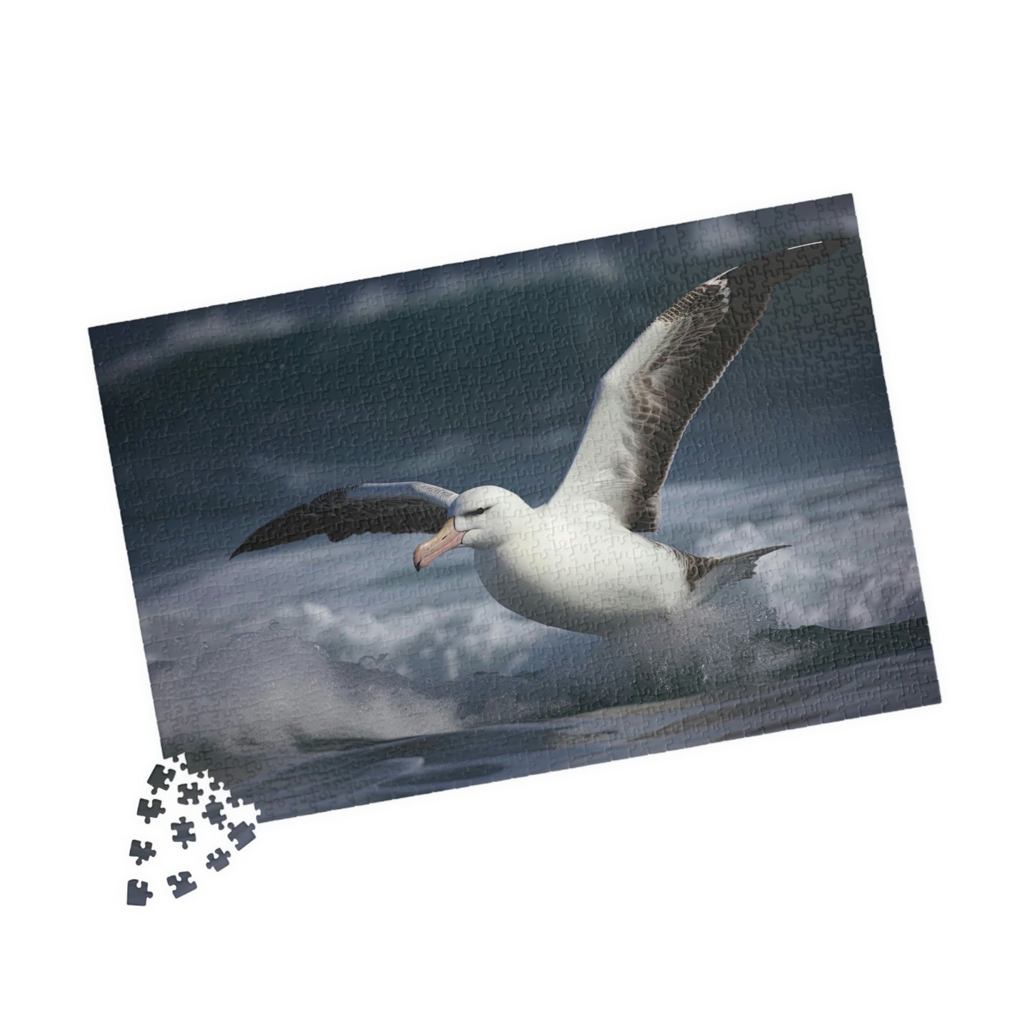 albatross jigsaw puzzle pieces