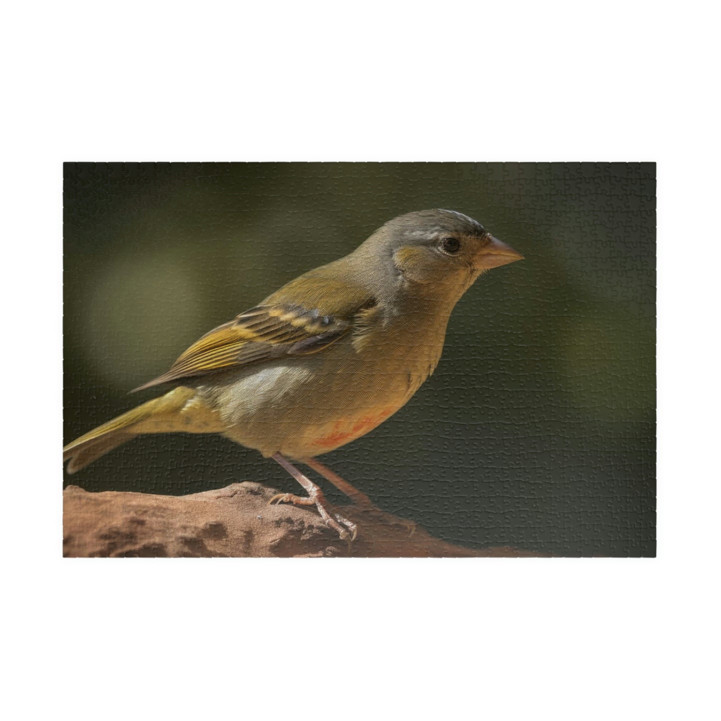 Finch Puzzle (500, 1014-piece)