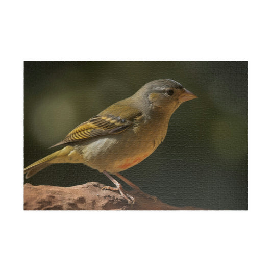 Finch Puzzle (500, 1014-piece)
