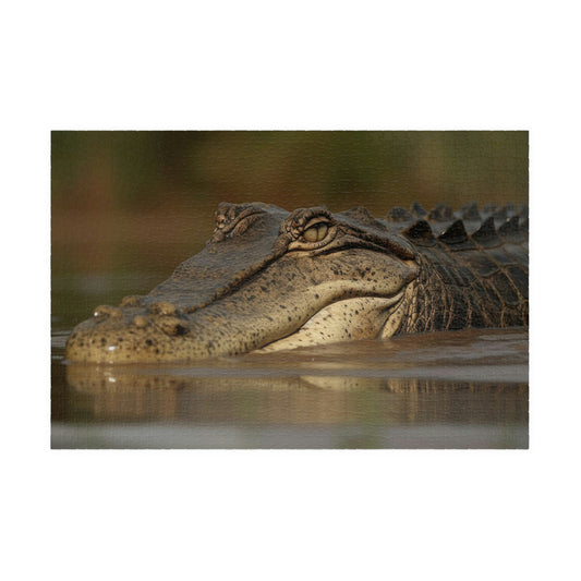 Crocodile Puzzle (500, 1014-piece)