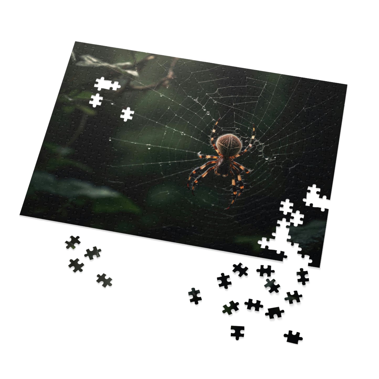 Spider in a Web Puzzle 4  (500, 1000 pc)