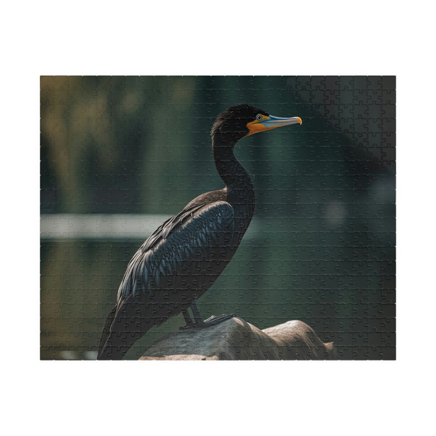 Cormorant Puzzle (500, 1014-piece)