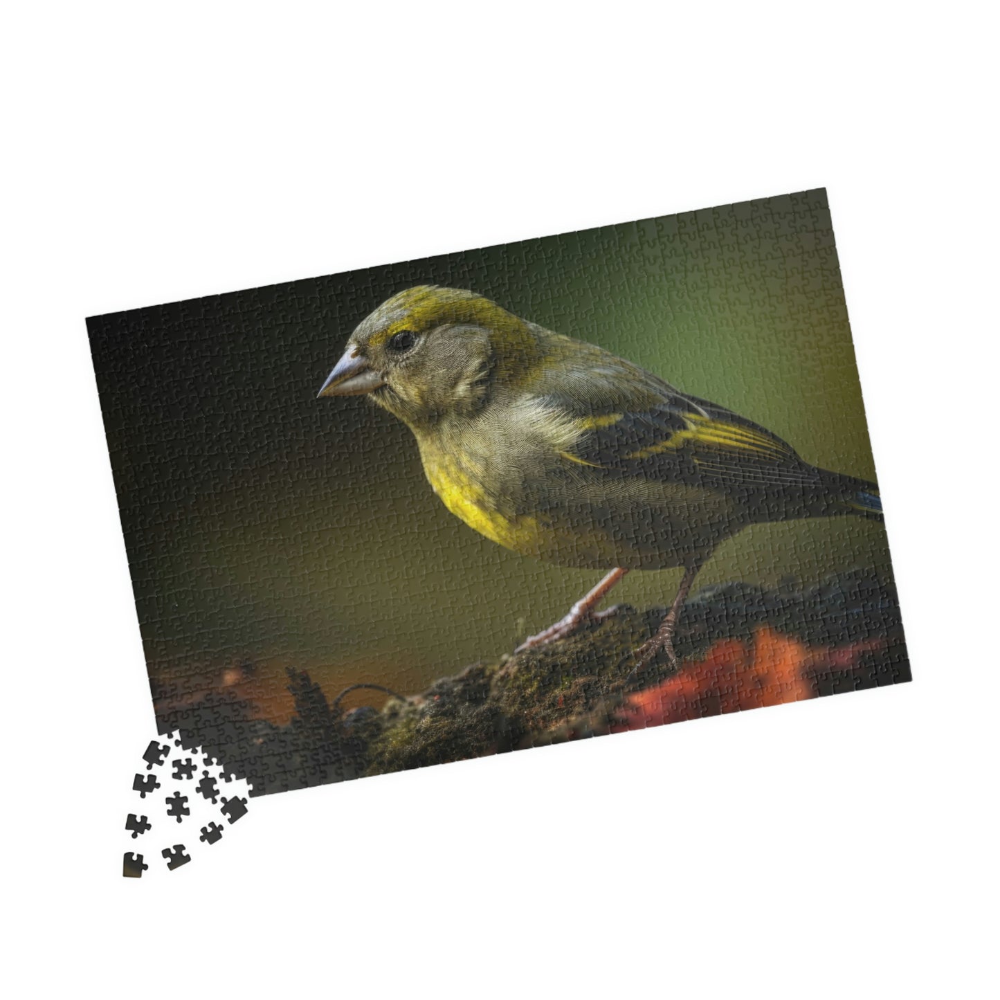 Finch Puzzle (500, 1014-piece)