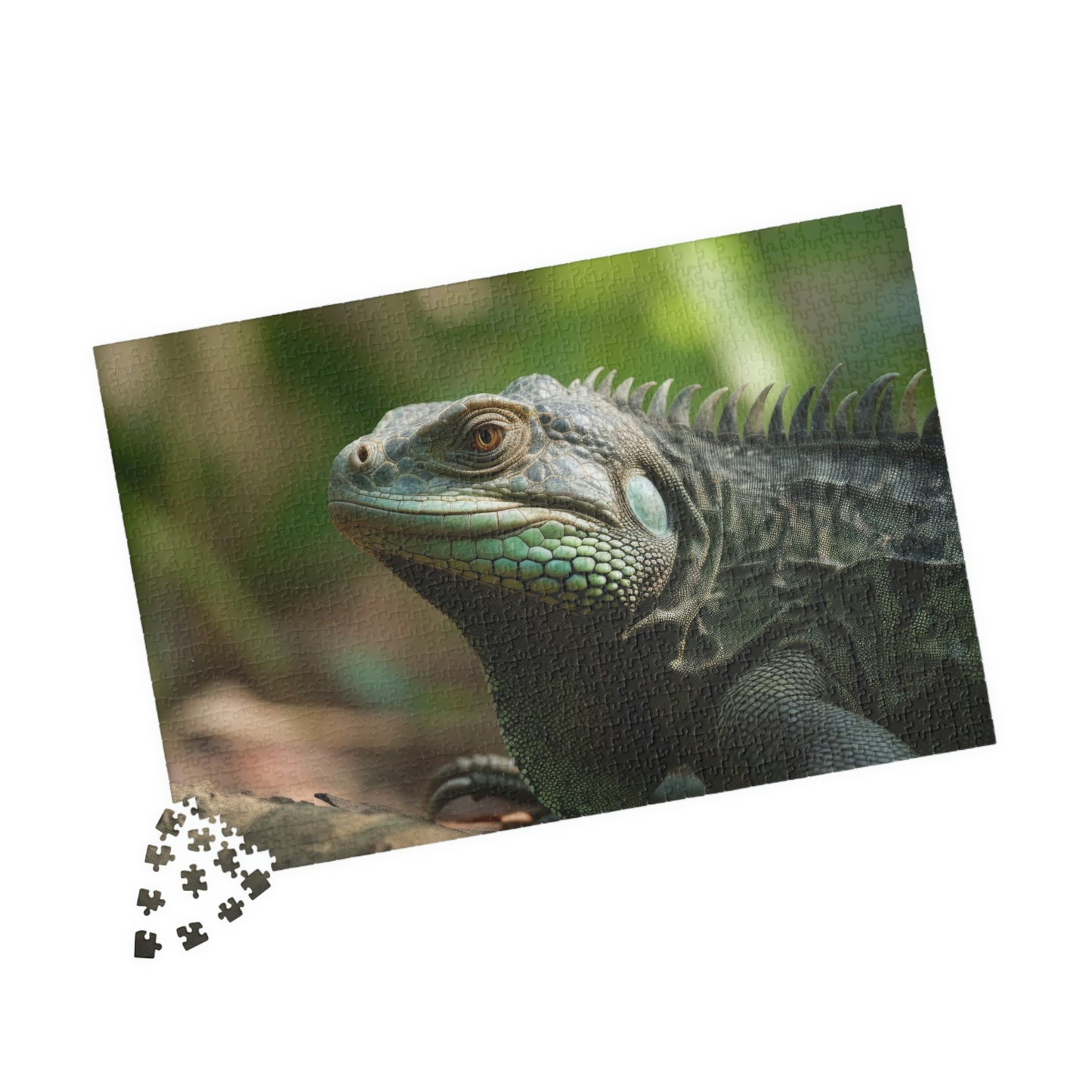 Iguana Puzzle (500, 1014-piece)