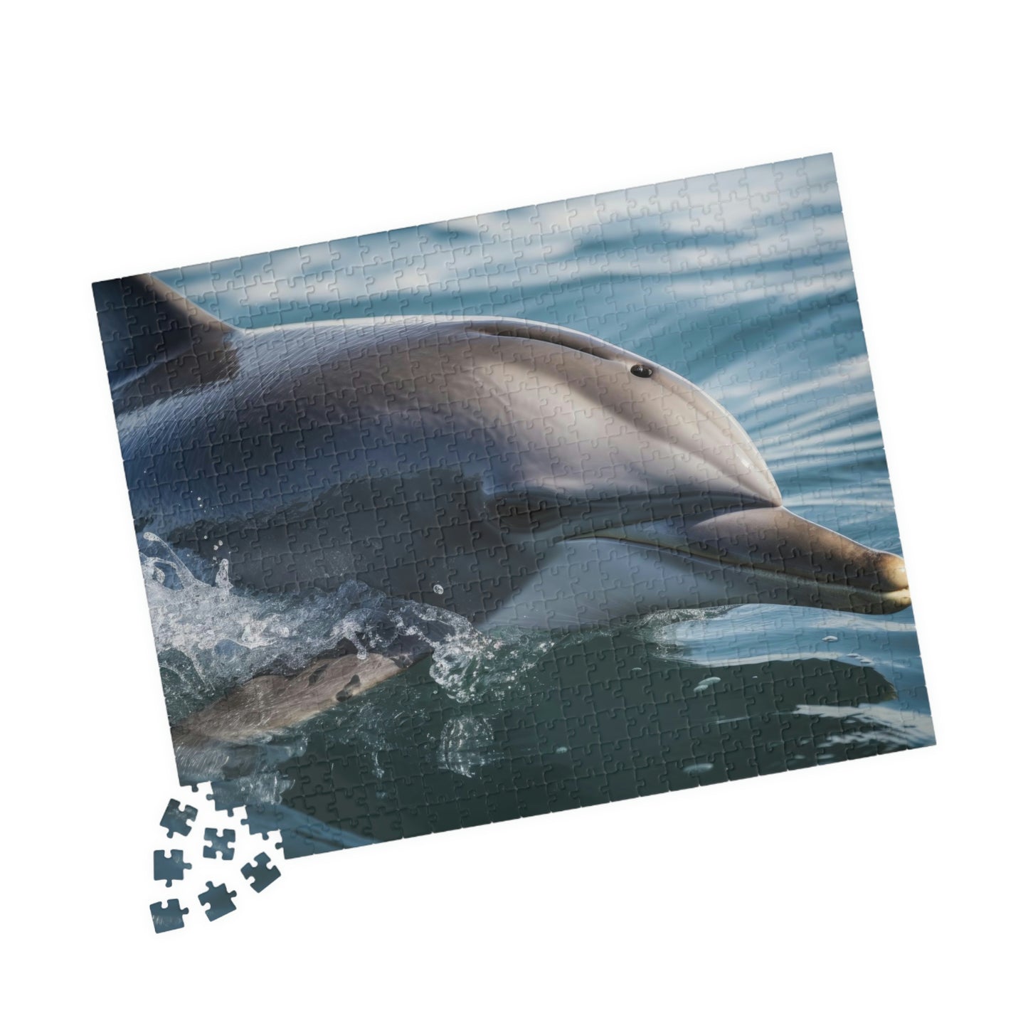 Dolphin Puzzle (500, 1014-piece)