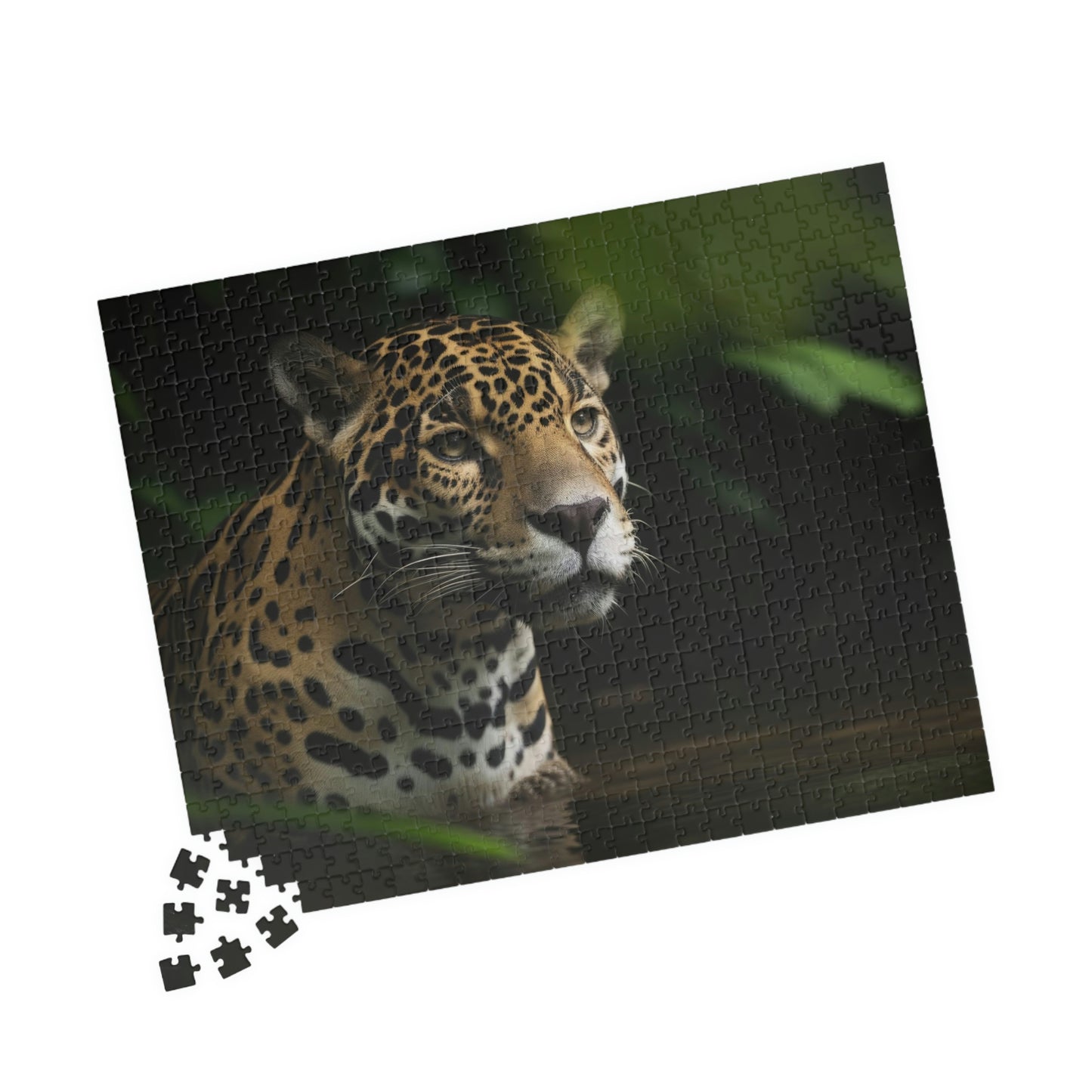 Jaquar Puzzle (500, 1014-piece)