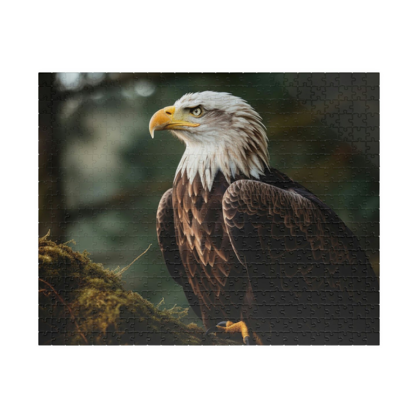 Eagle Puzzle (500, 1014-piece)