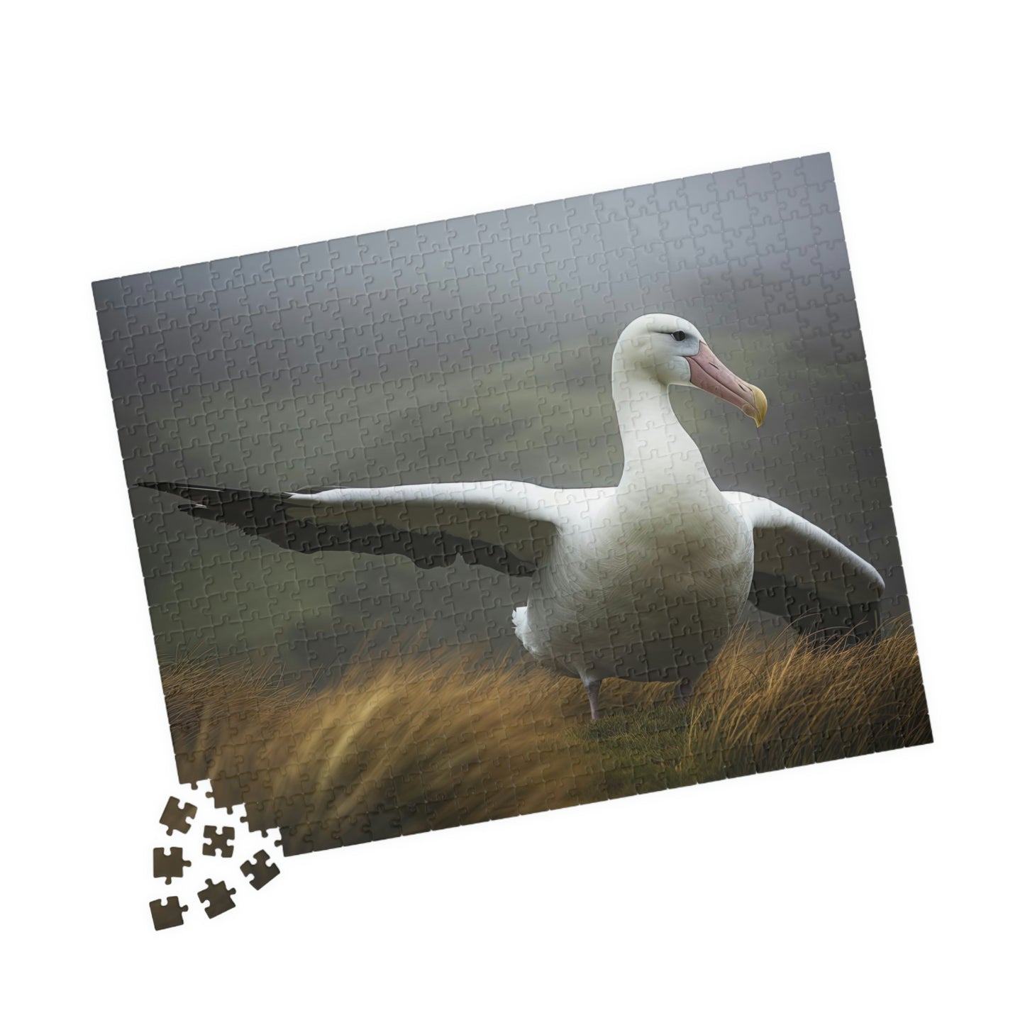 albatross puzzle pieces