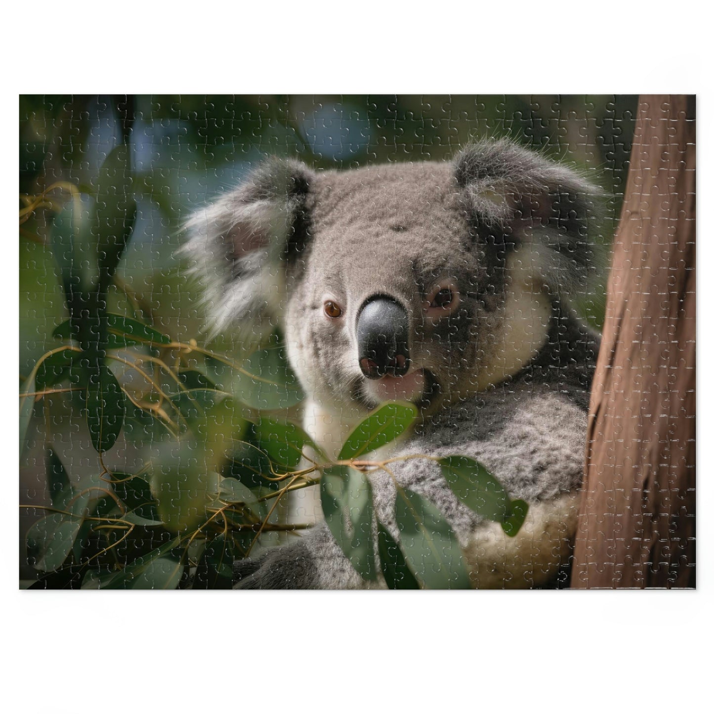 Koala's Siesta 1 (500, 1000 piece)