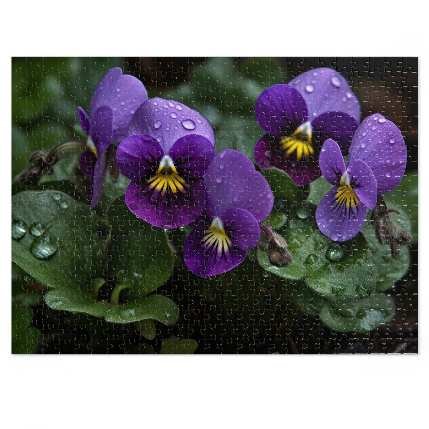 Enchanting Violets 2 Puzzle: (500, 1000 pc)