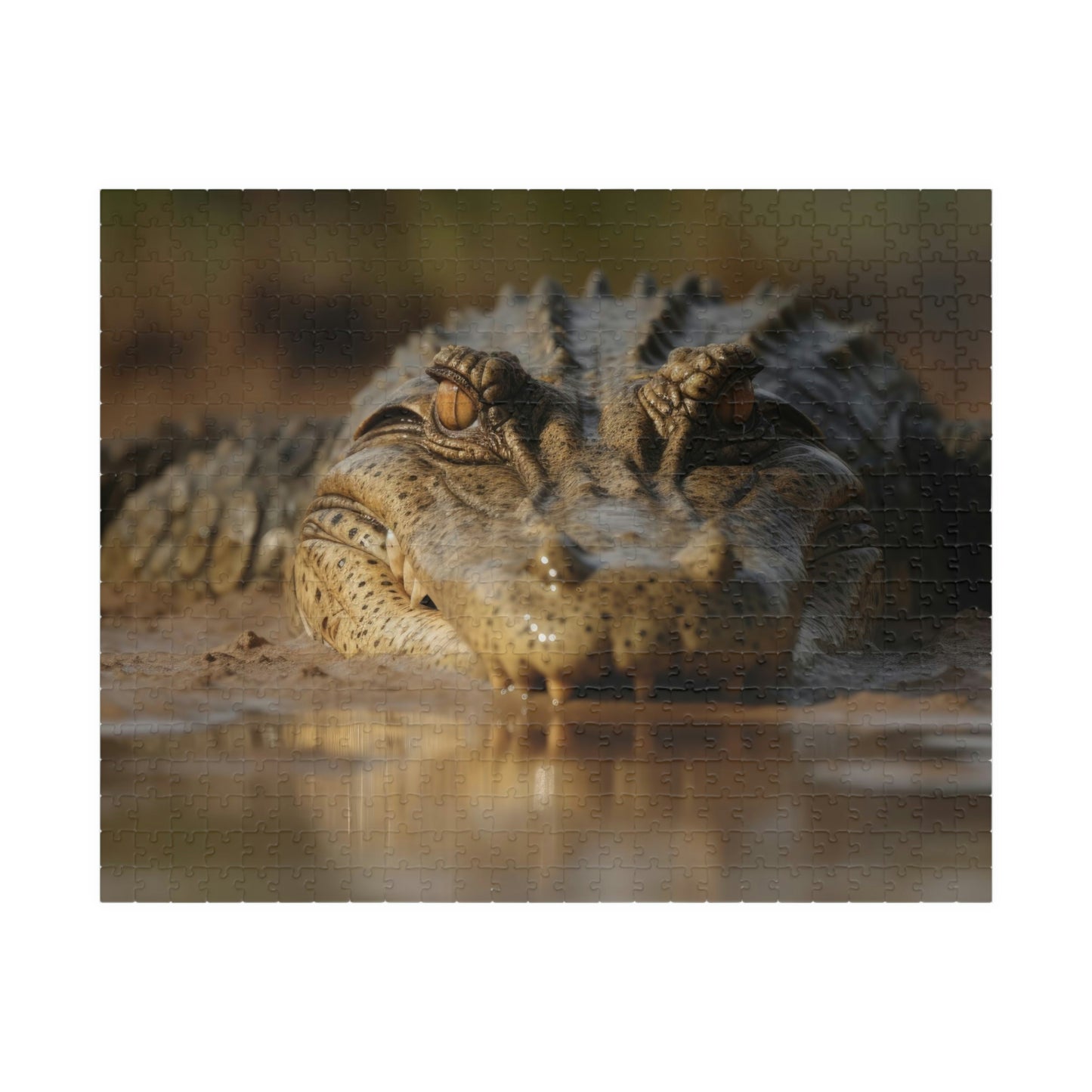 Crocodile Puzzle (500, 1014-piece)