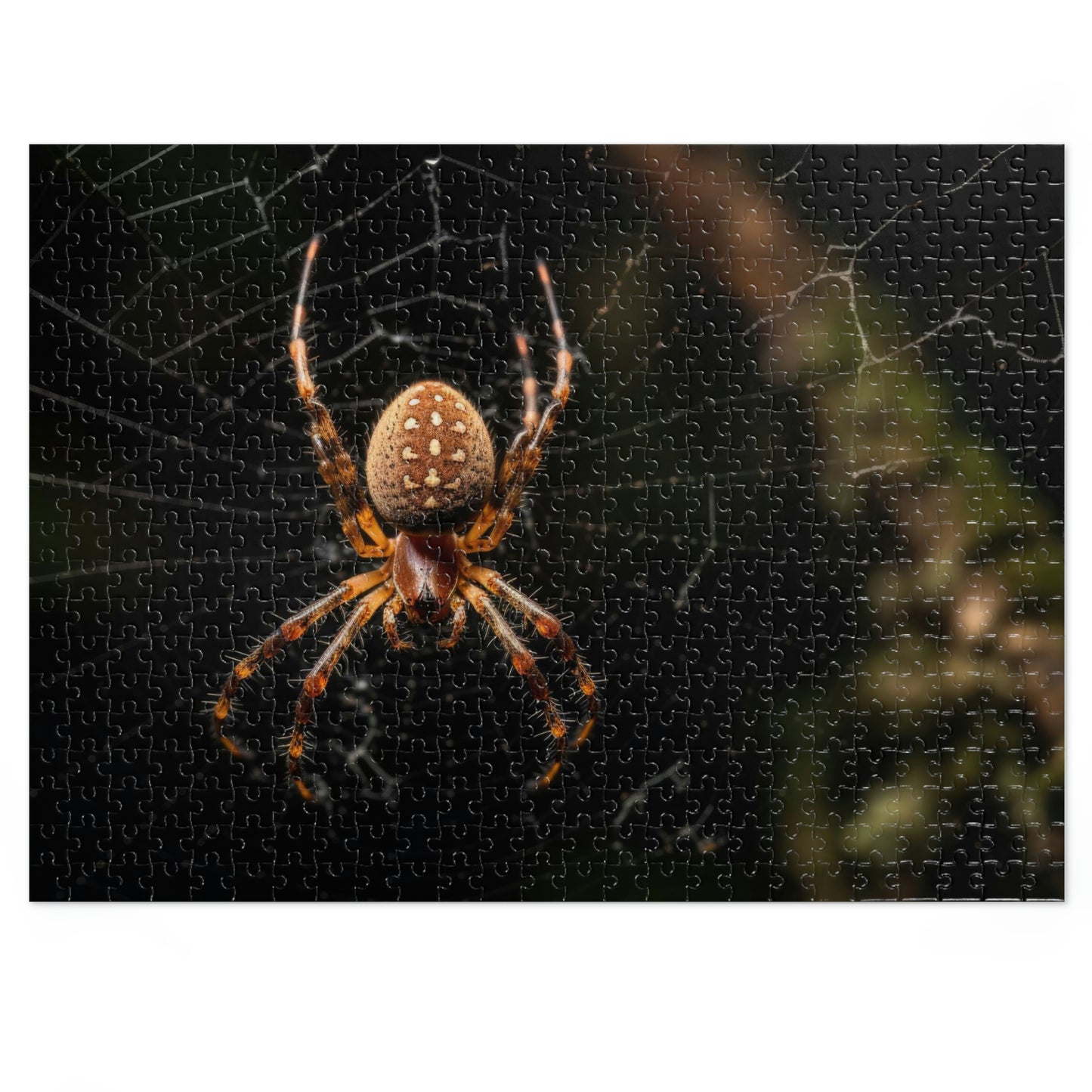 Spider in a Web 2 Puzzle  (500, 1000 pc)