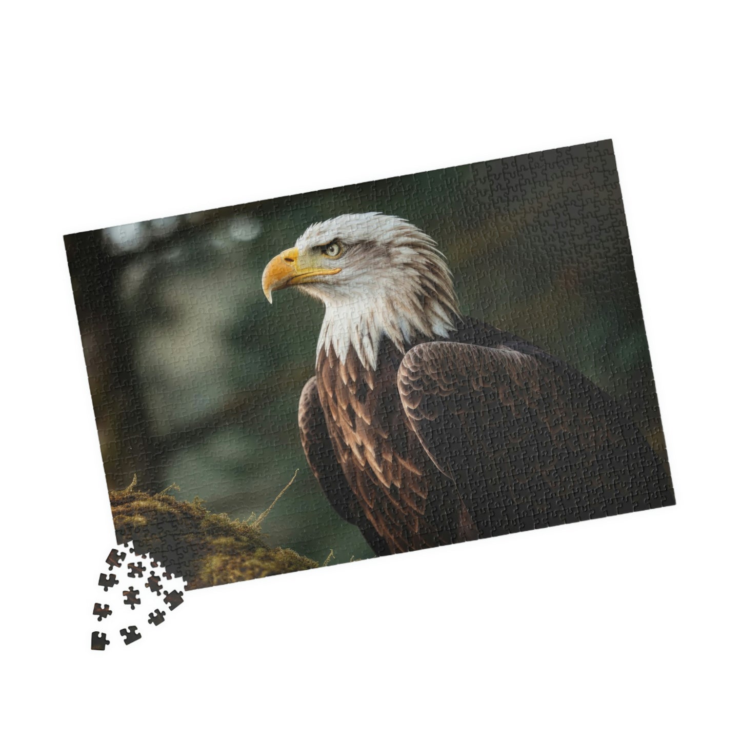 Eagle Puzzle (500, 1014-piece)