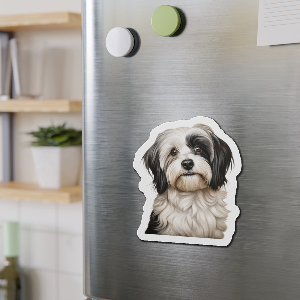 Havanese Magnet