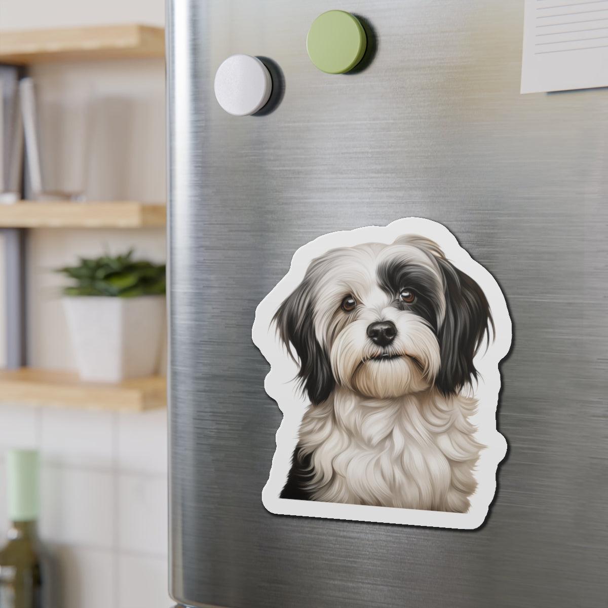 Havanese Magnet