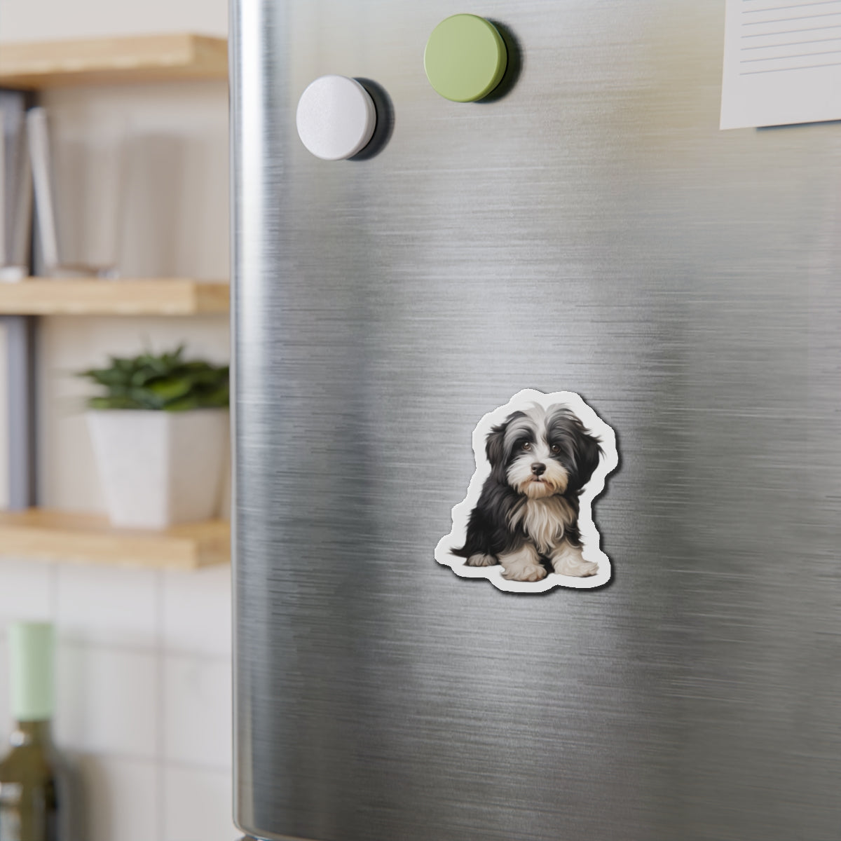 Havanese Magnet