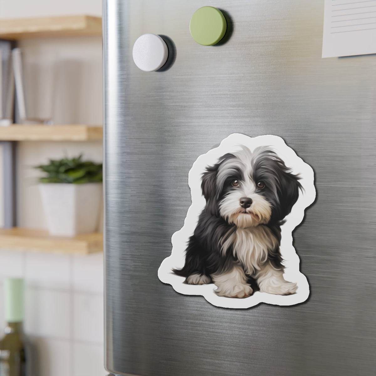 Havanese Magnet