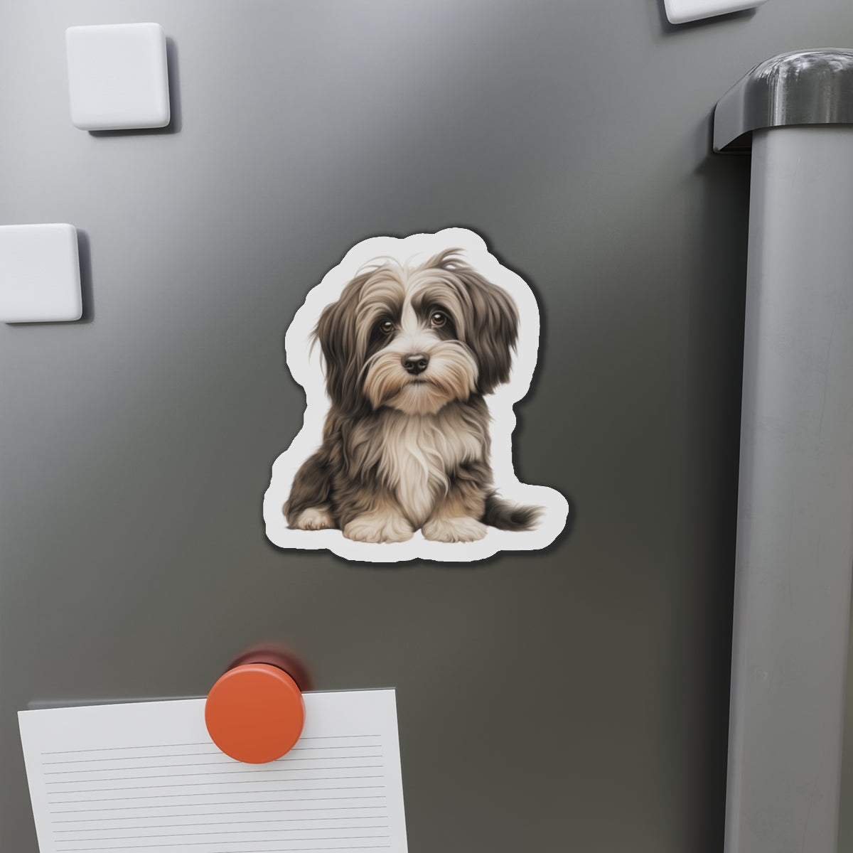 Havanese Magnet
