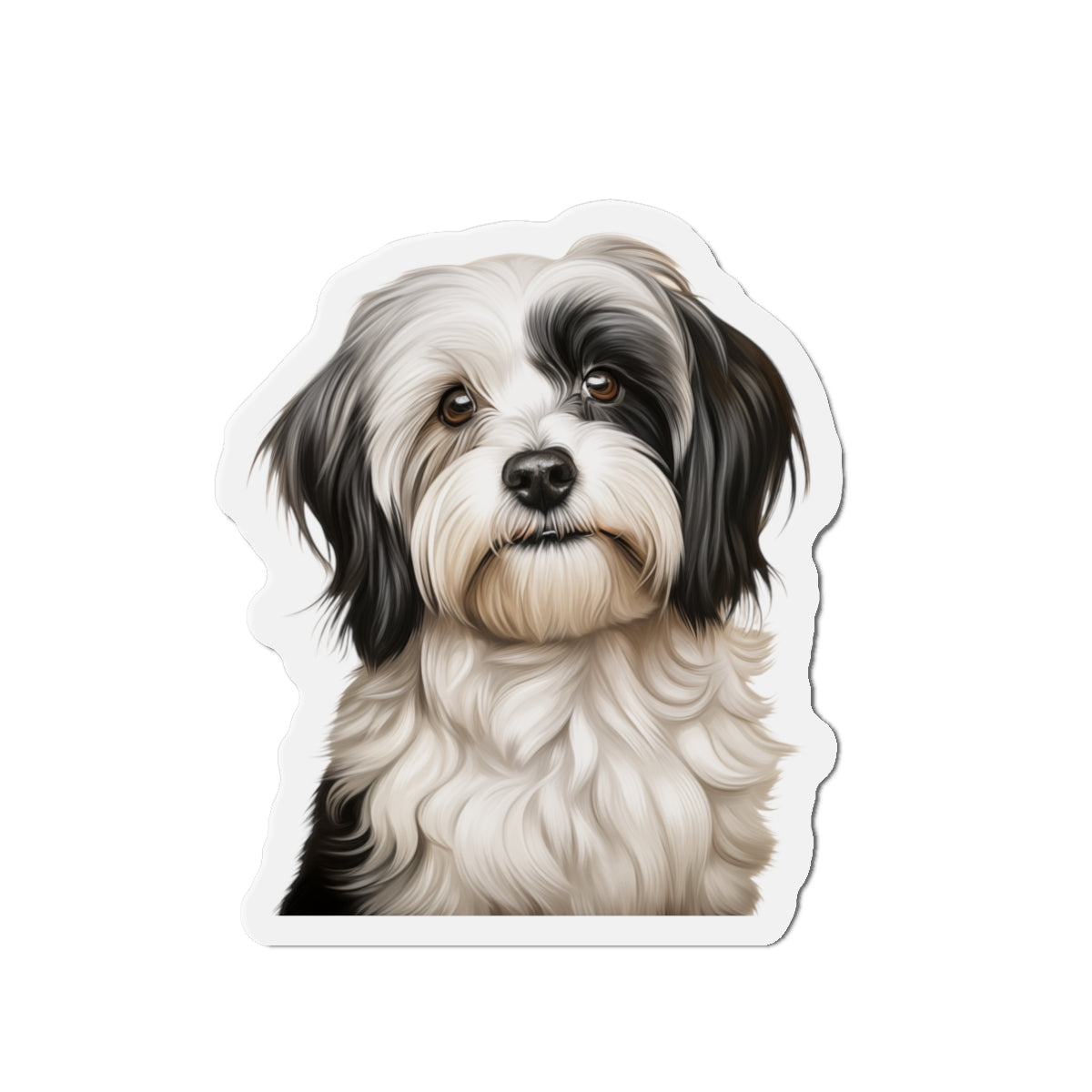 Havanese Magnet