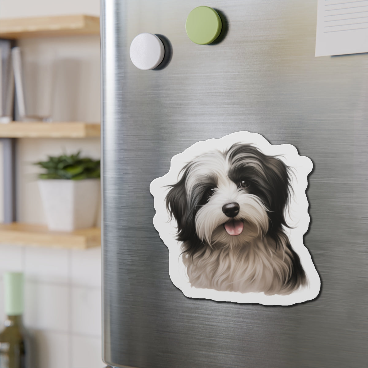 Havanese Magnet