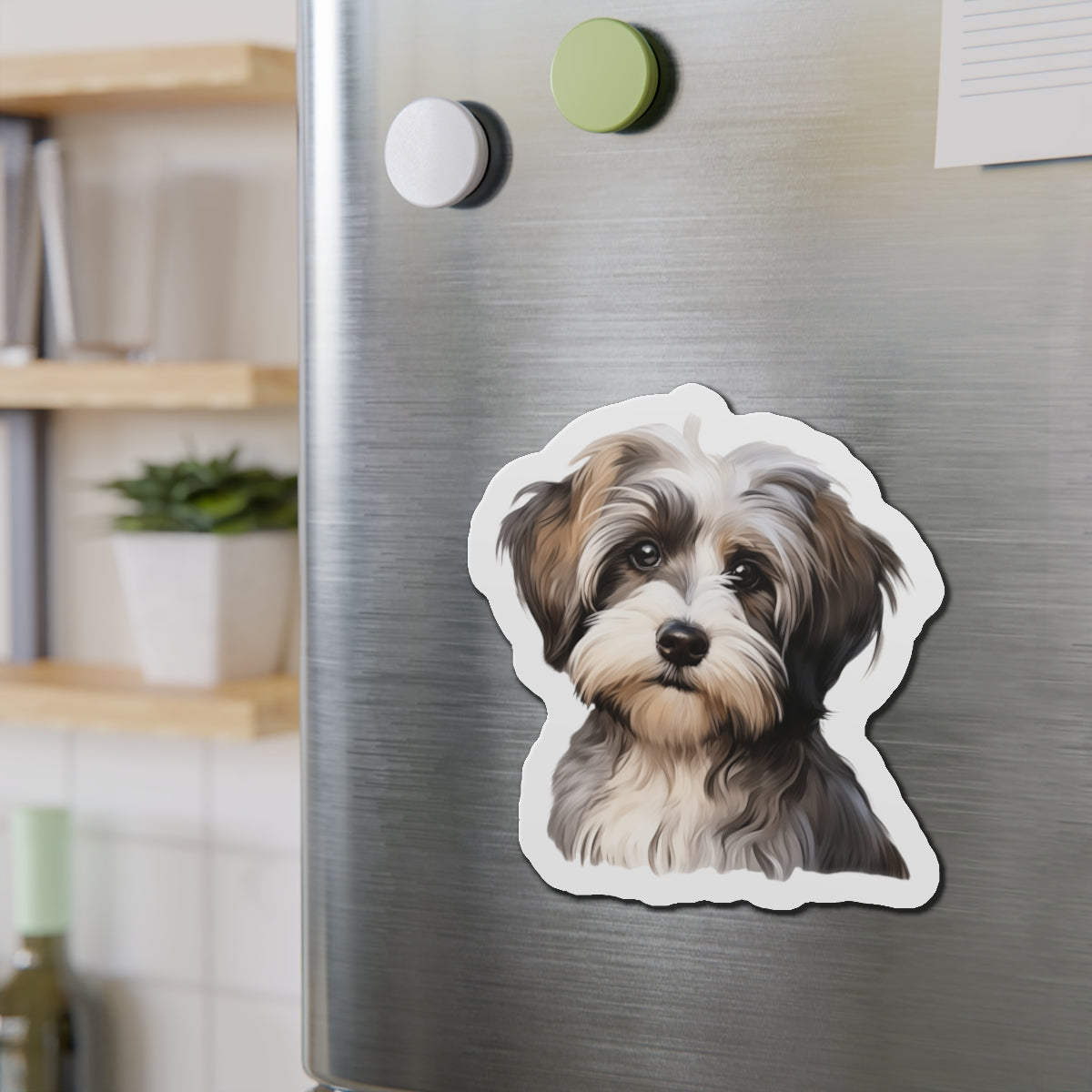 Havanese Magnet