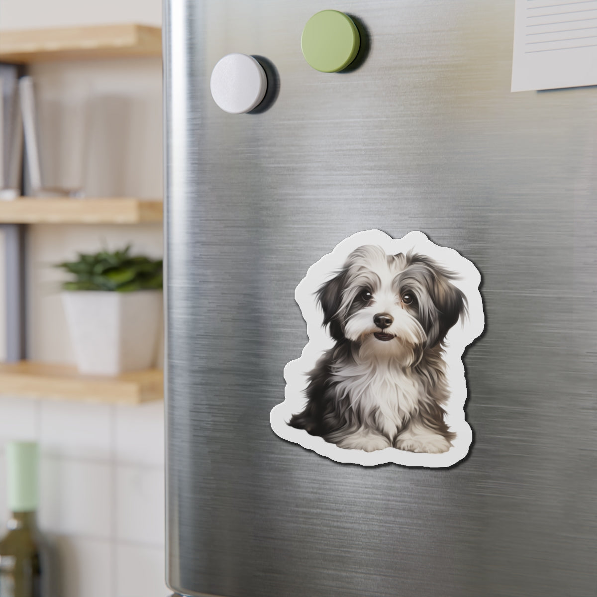 Havanese Magnet