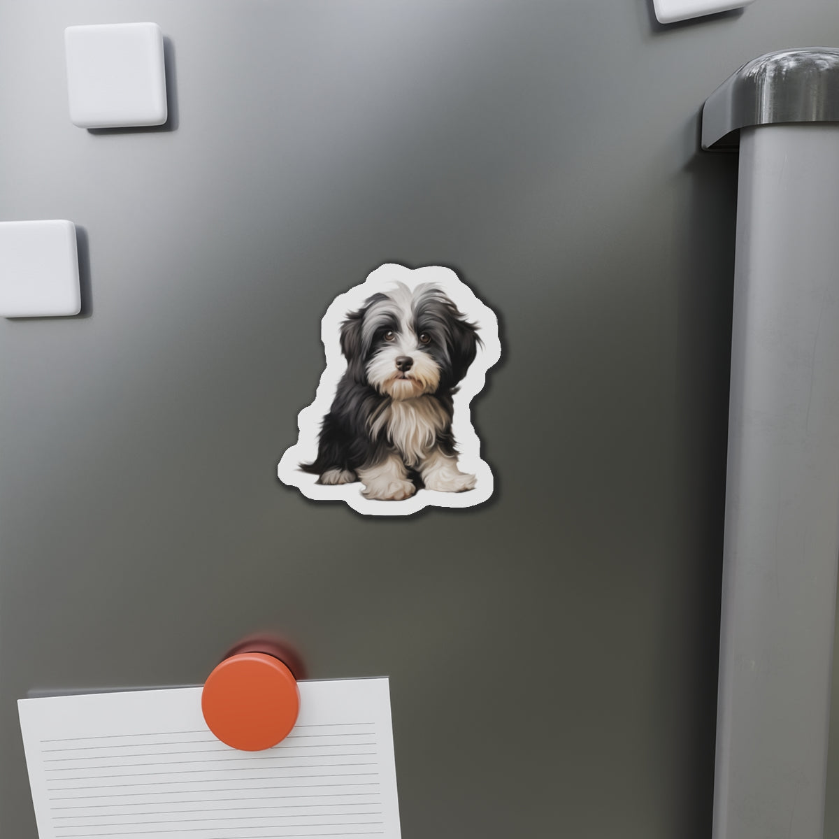 Havanese Magnet