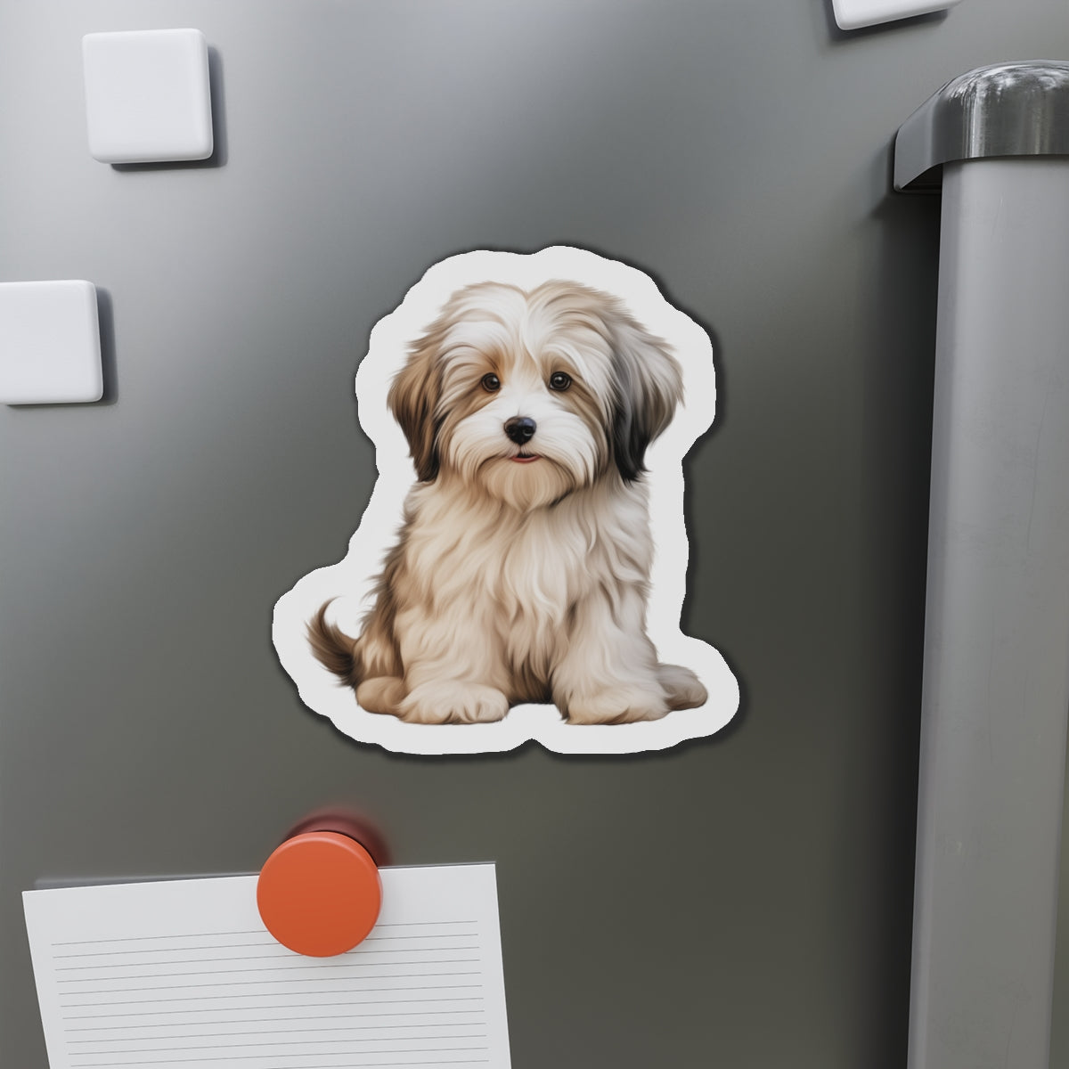 Havanese Magnet