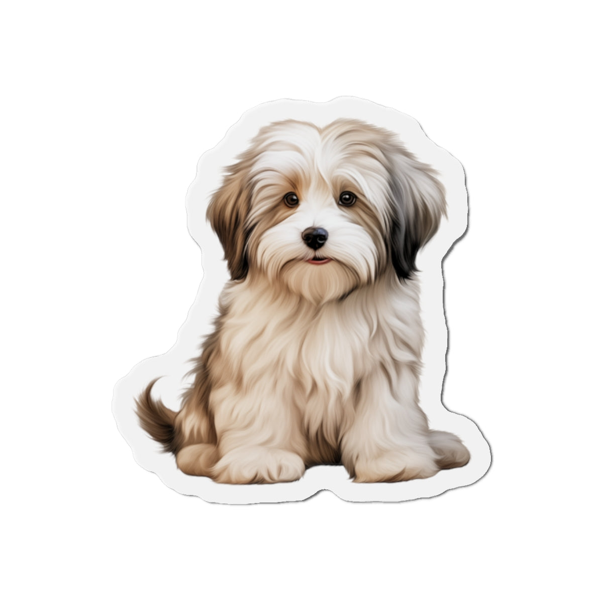 Havanese Magnet