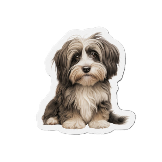 Havanese Magnet