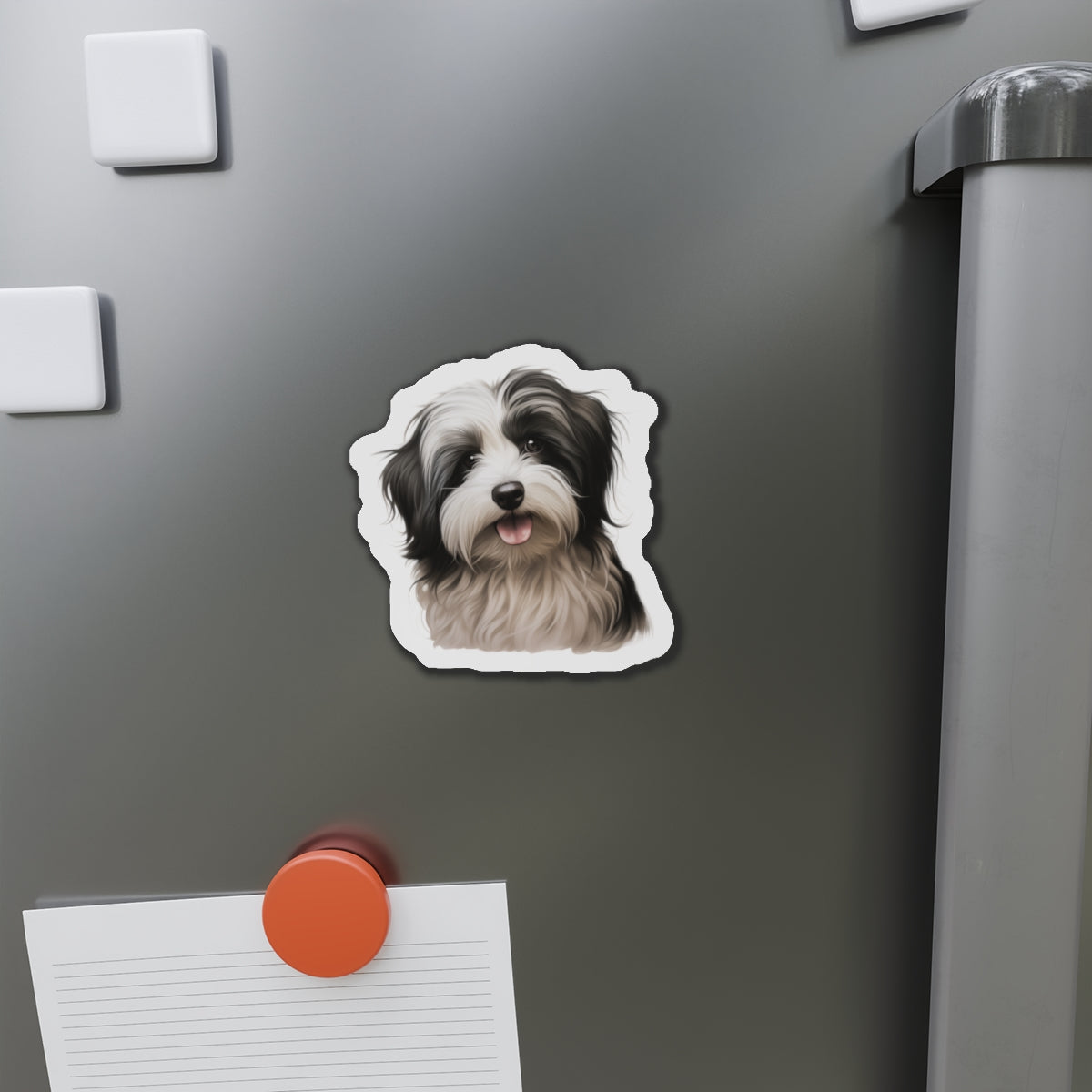 Havanese Magnet