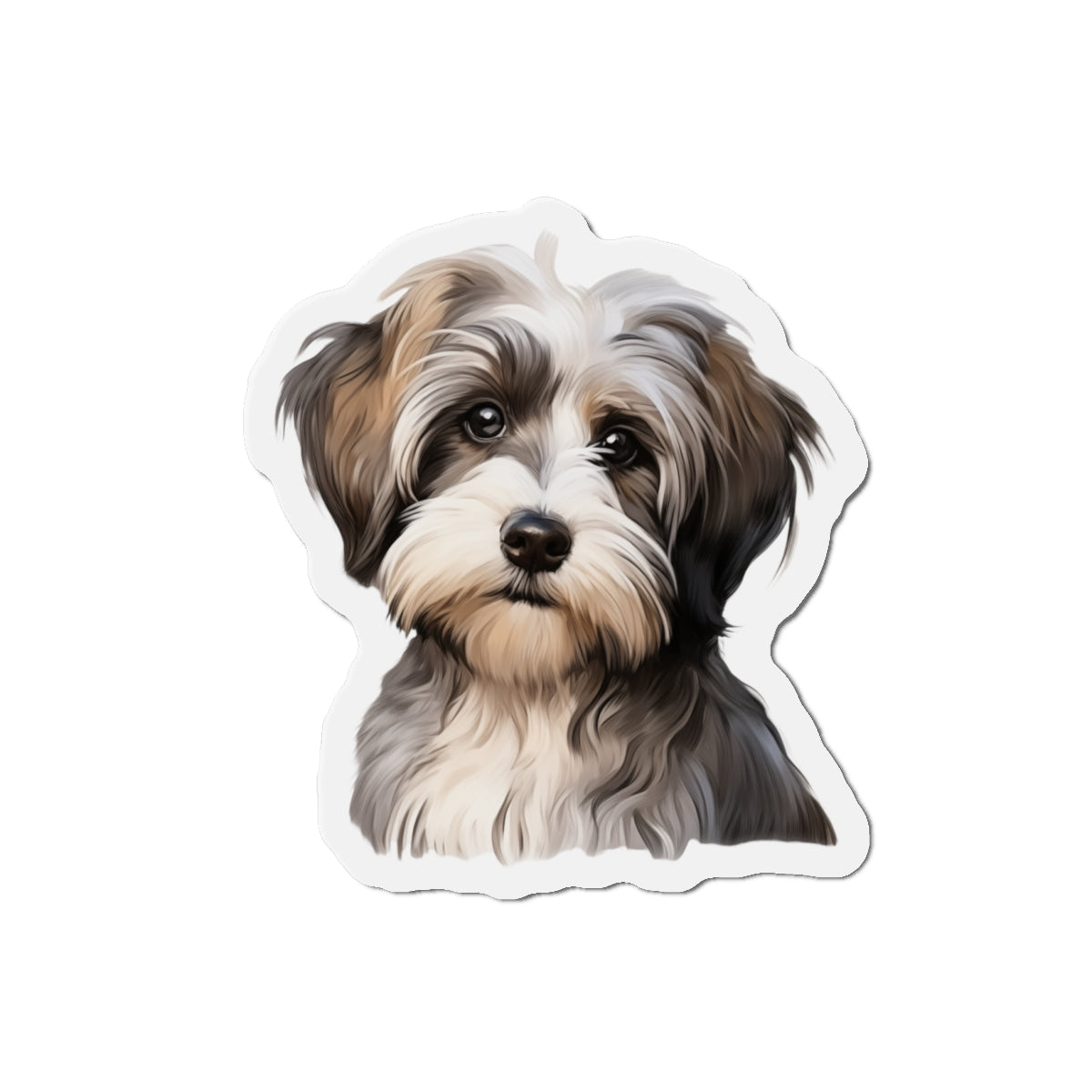 Havanese Magnet