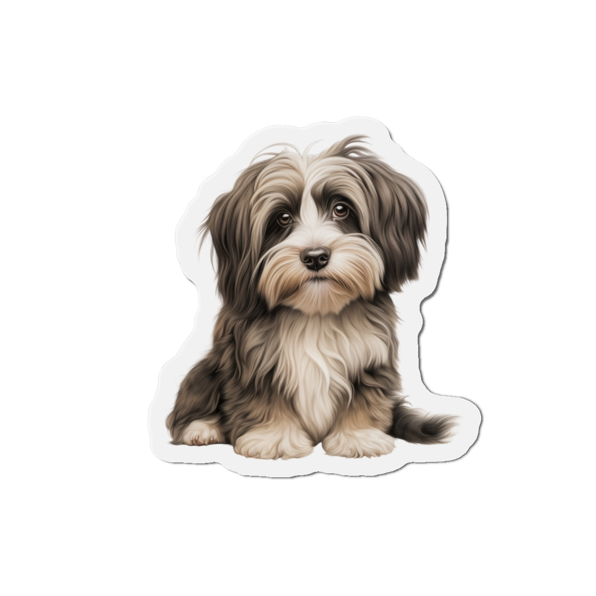 Havanese Magnet