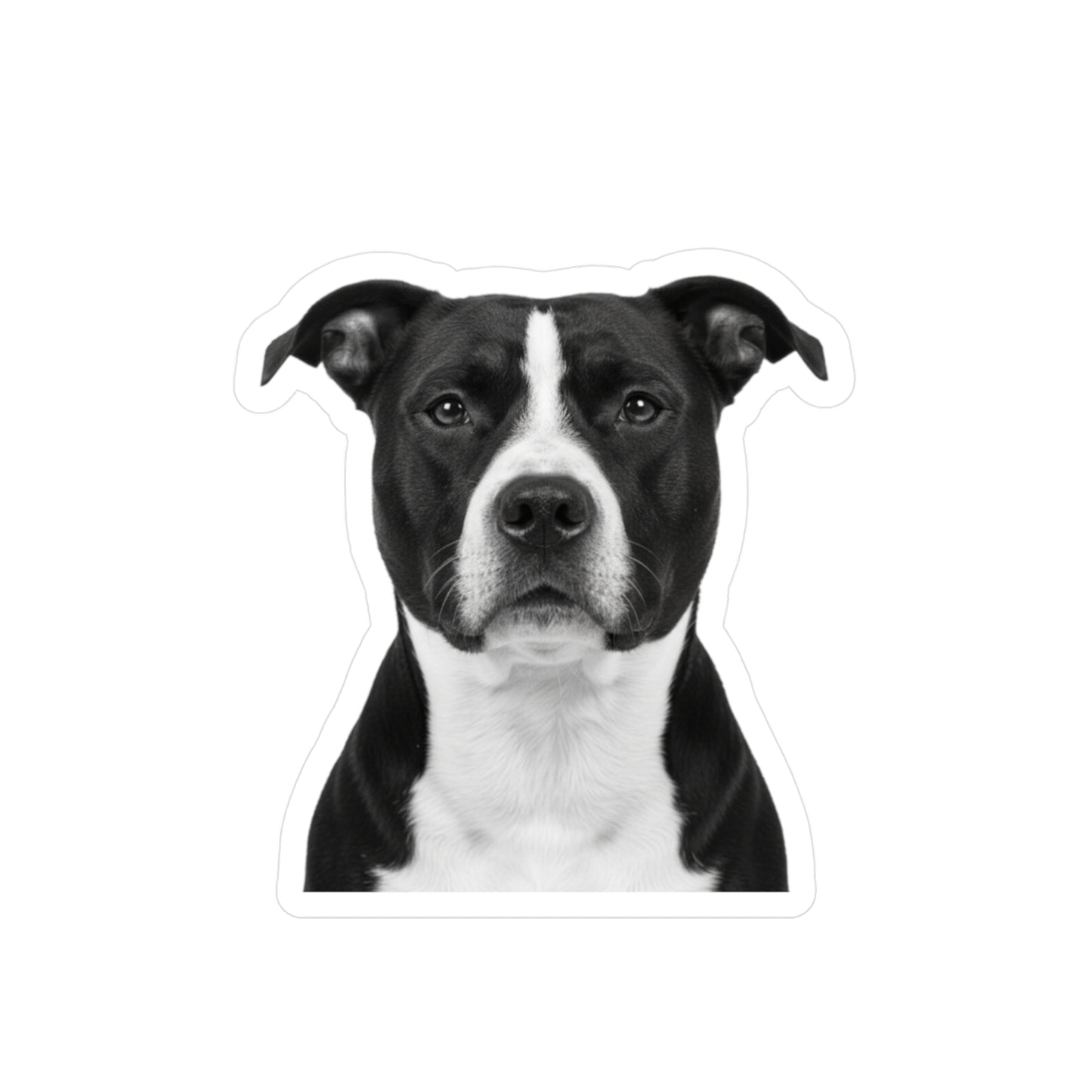 Pit Bull Decal Sticker, Dog Lover Gift, Pet Car Window Bumper, Laptop Decoration, Animal Vinyl Transfer, Cute Pitbull Mom Dad Present