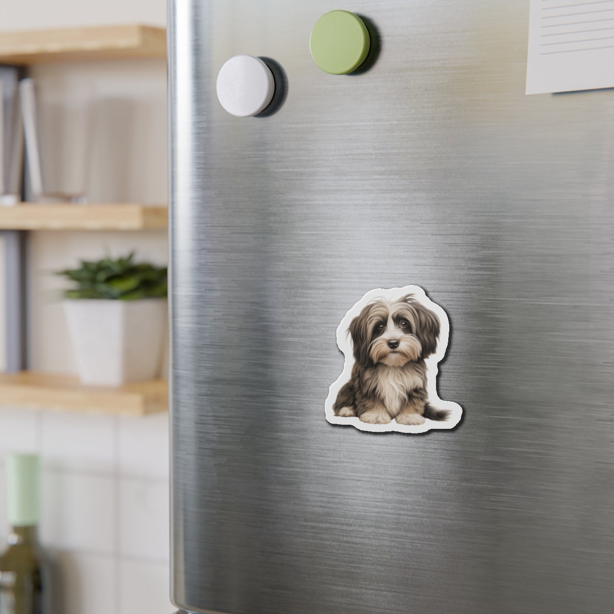 Havanese Magnet