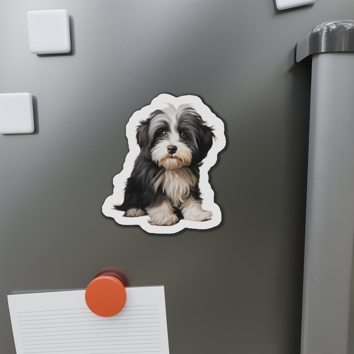 Havanese Magnet