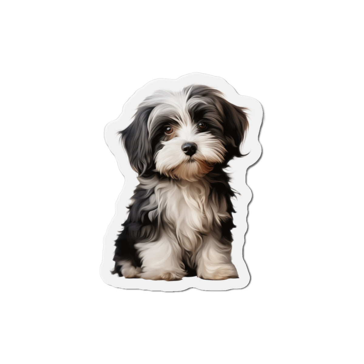 Havanese Magnet
