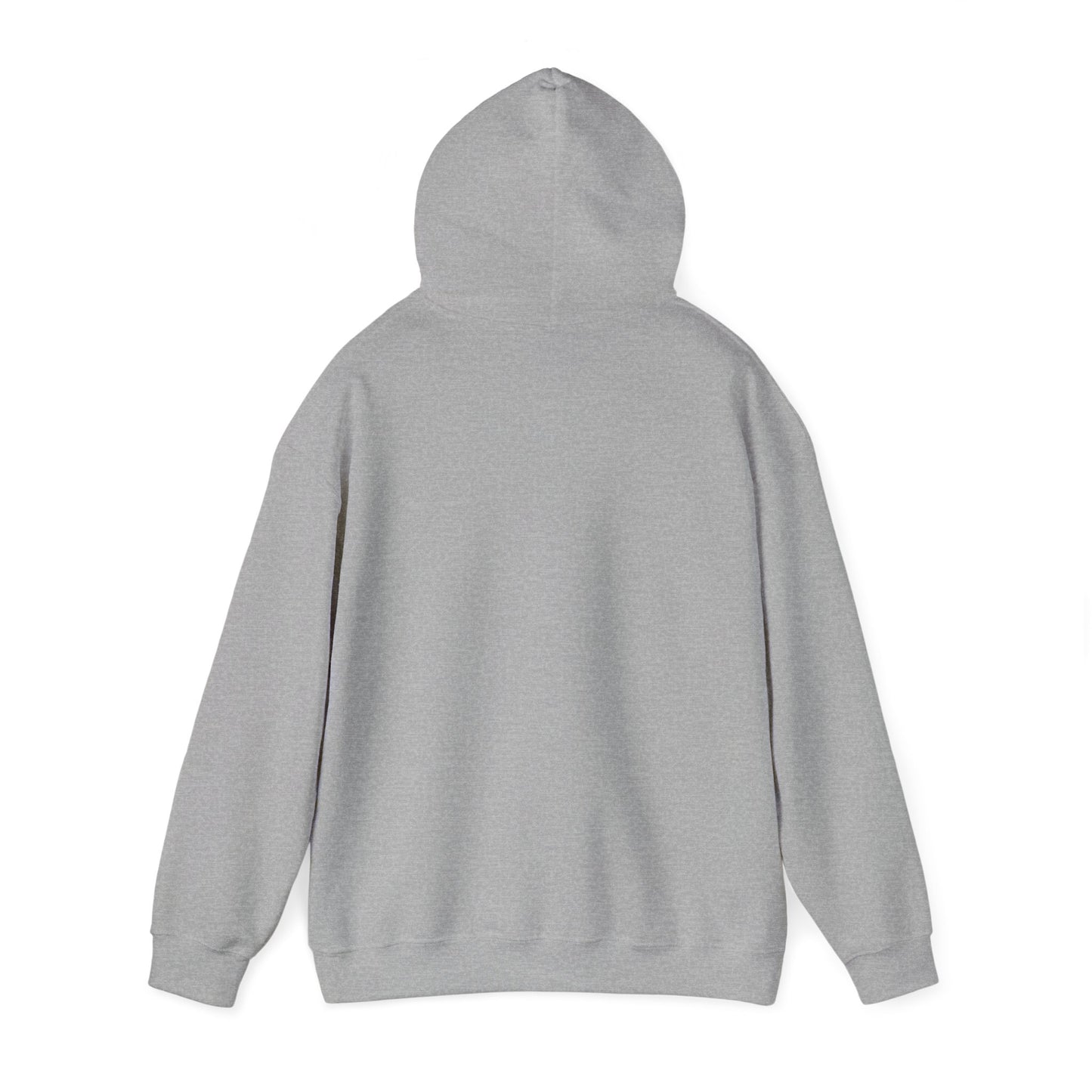 You Got This Hoodie - Unisex Heavy Blend Hooded Sweatshirt