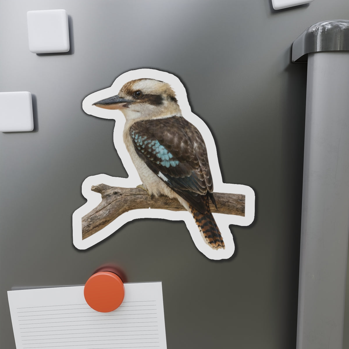 Kookaburra Magnet | Australian Bird Magnet