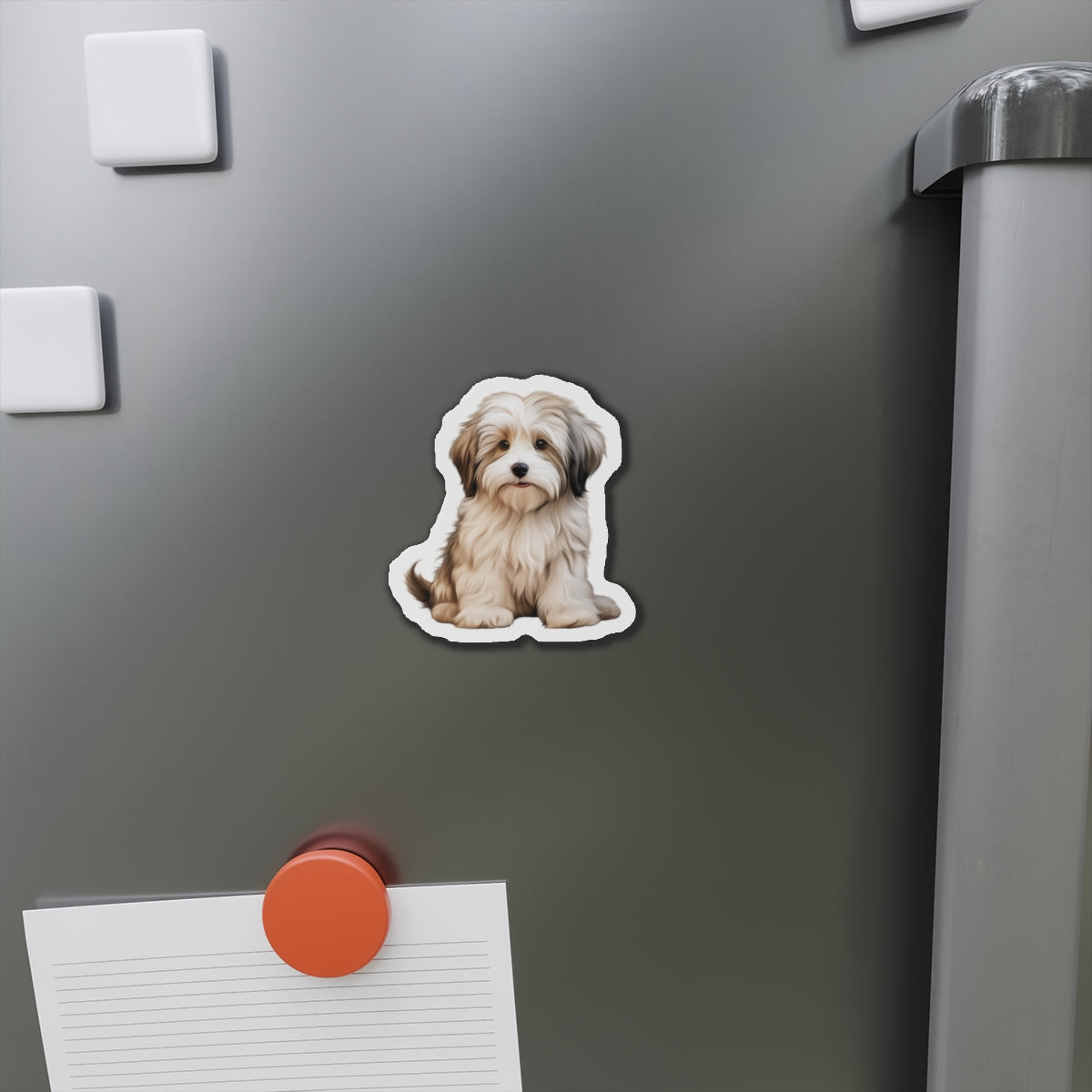 Havanese Magnet