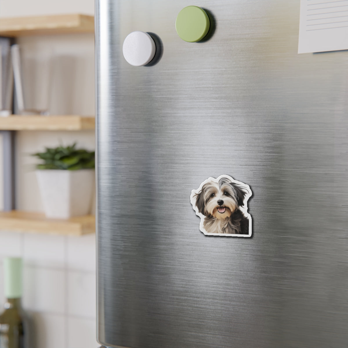 Havanese Magnet