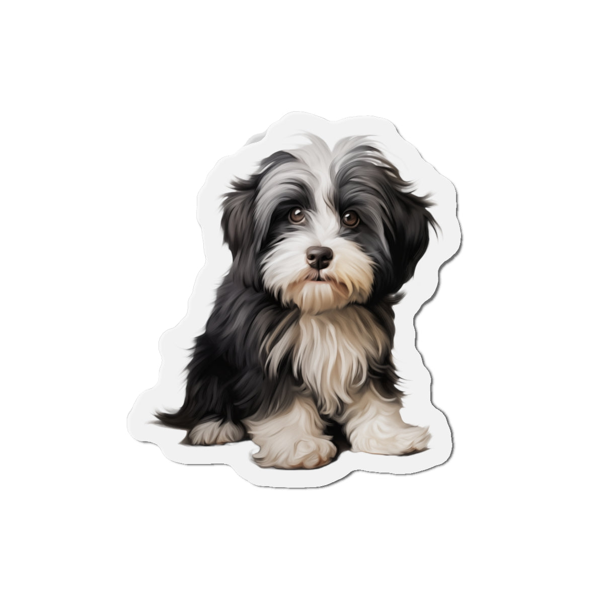 Havanese Magnet