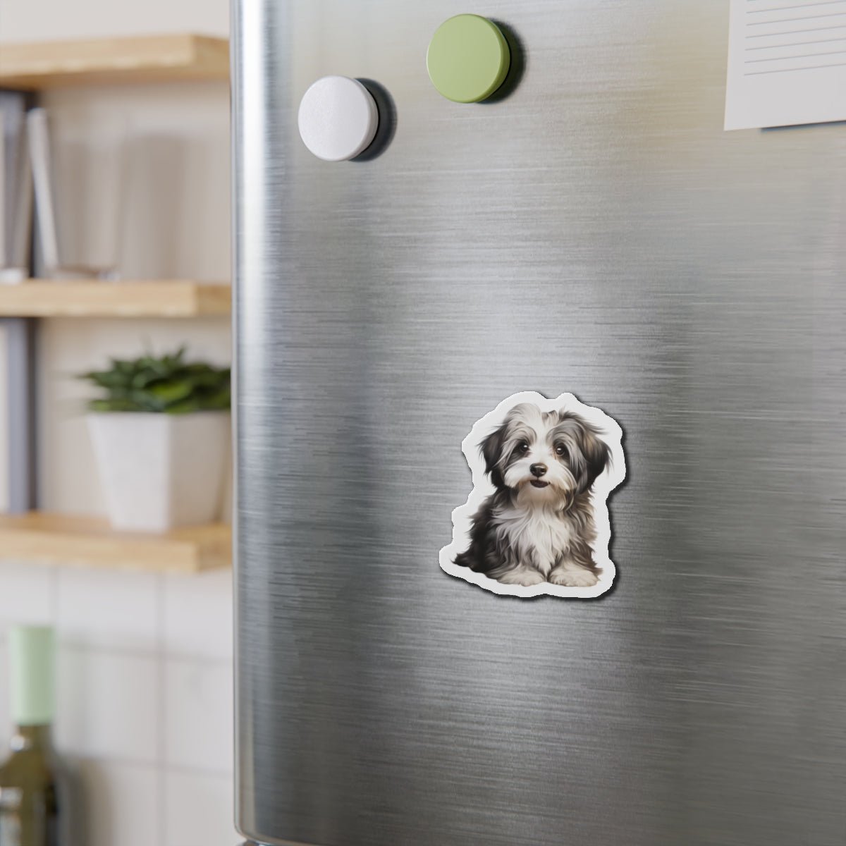 Havanese Magnet