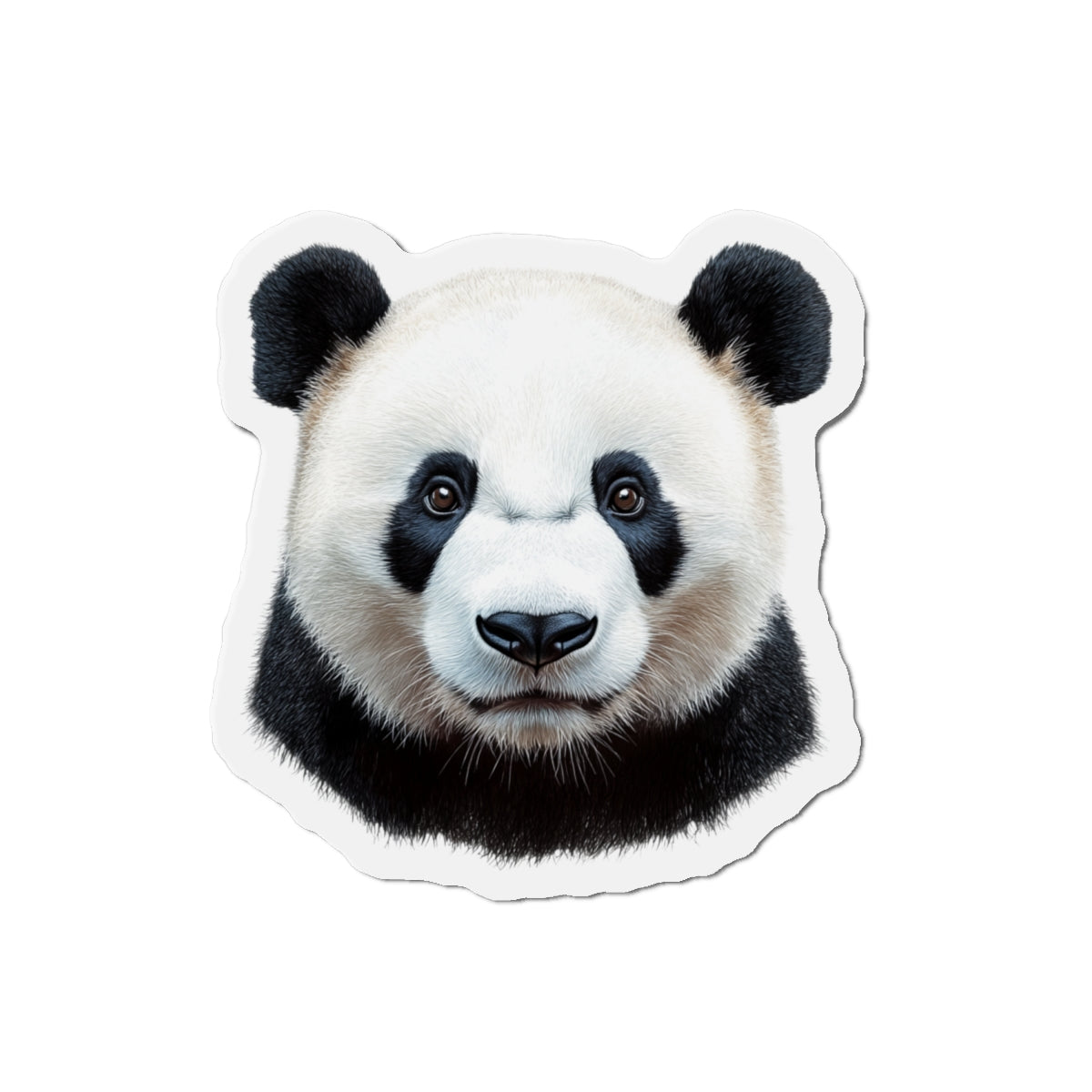 Panda Magnet - Wildlife Animal Lover Gift